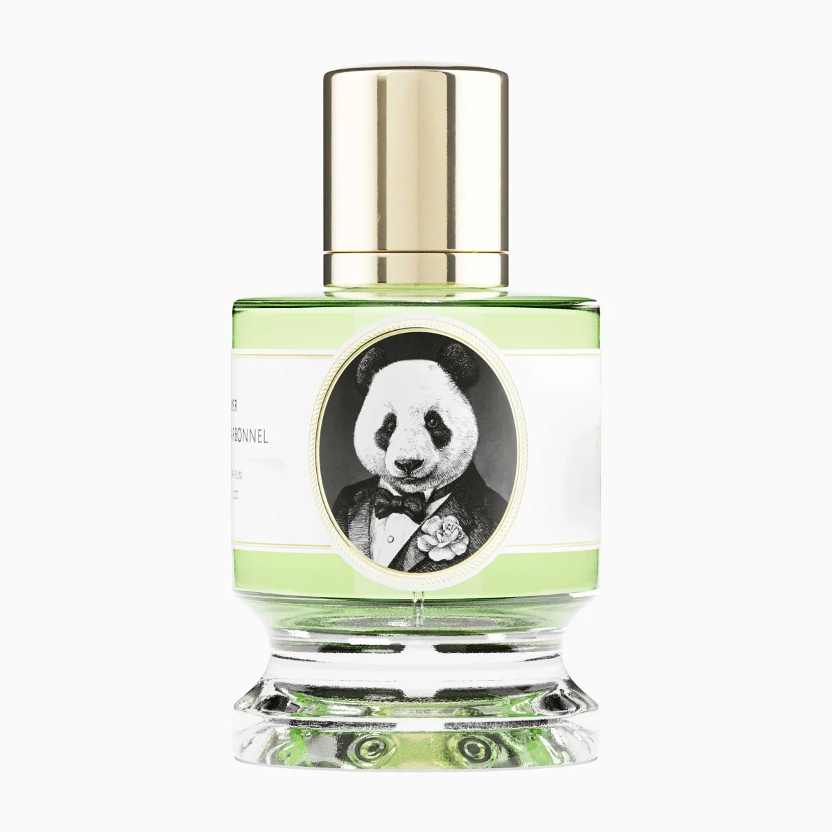 Panda by Zoologist