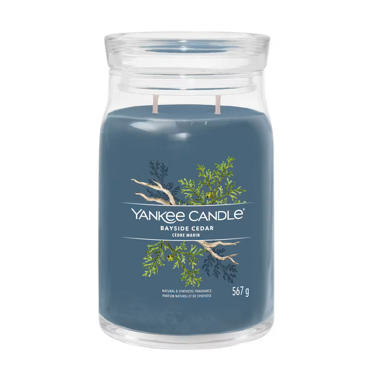 Bayside Cedar Candle by Yankee Candle