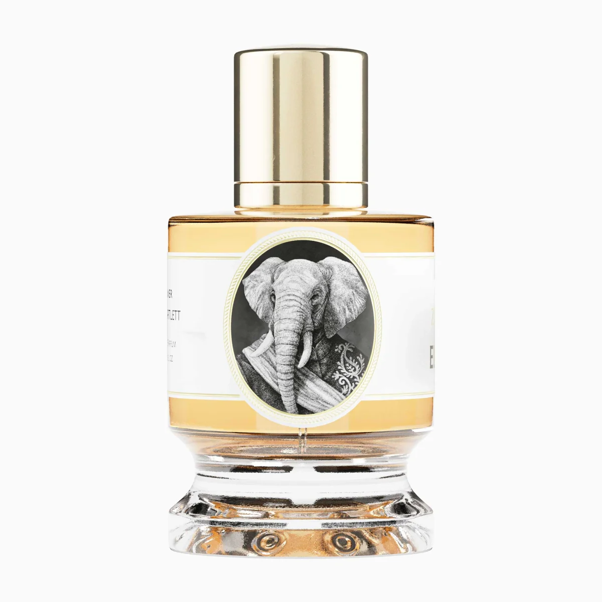 Elephant by Zoologist