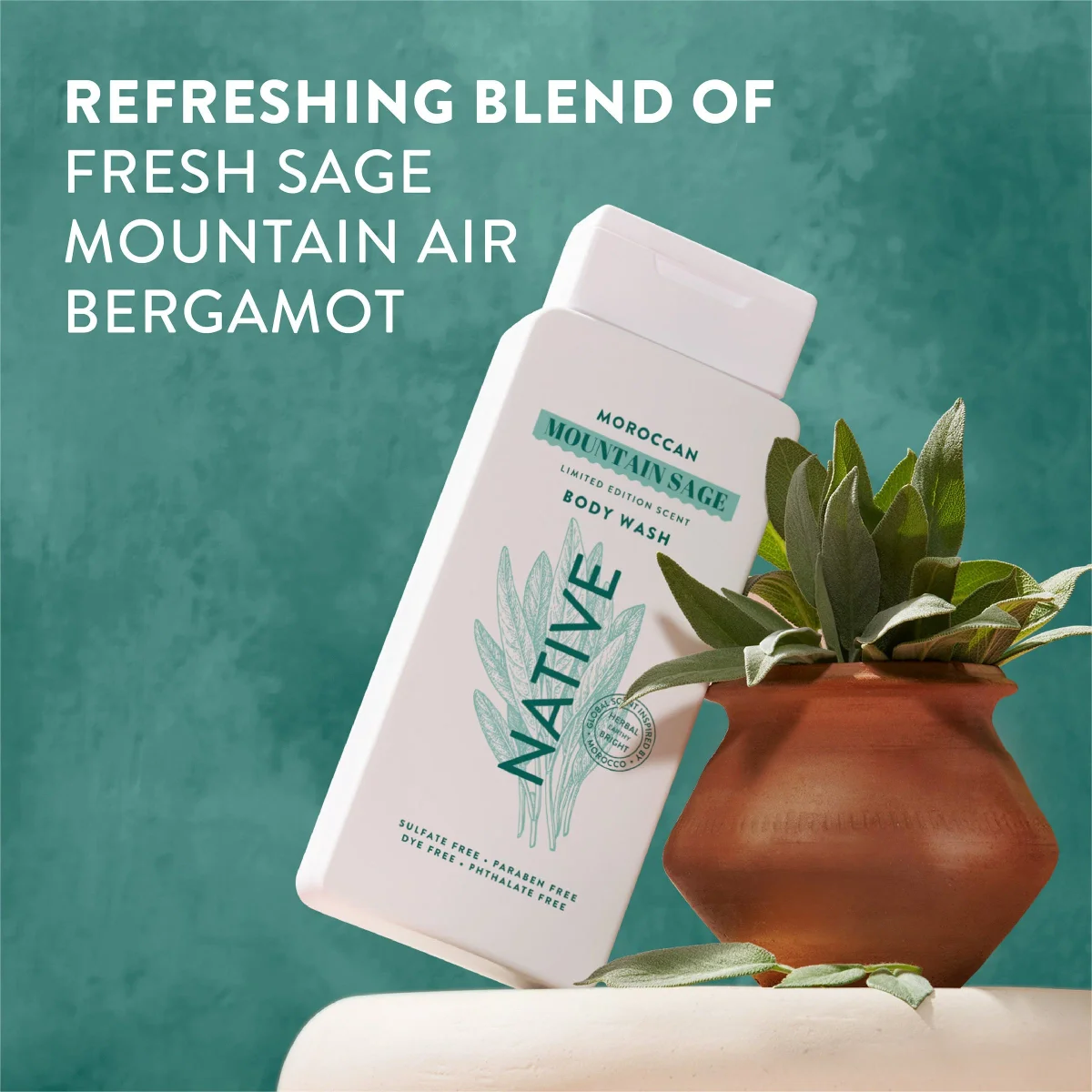 Moroccan Mountain Sage Body Wash by Native