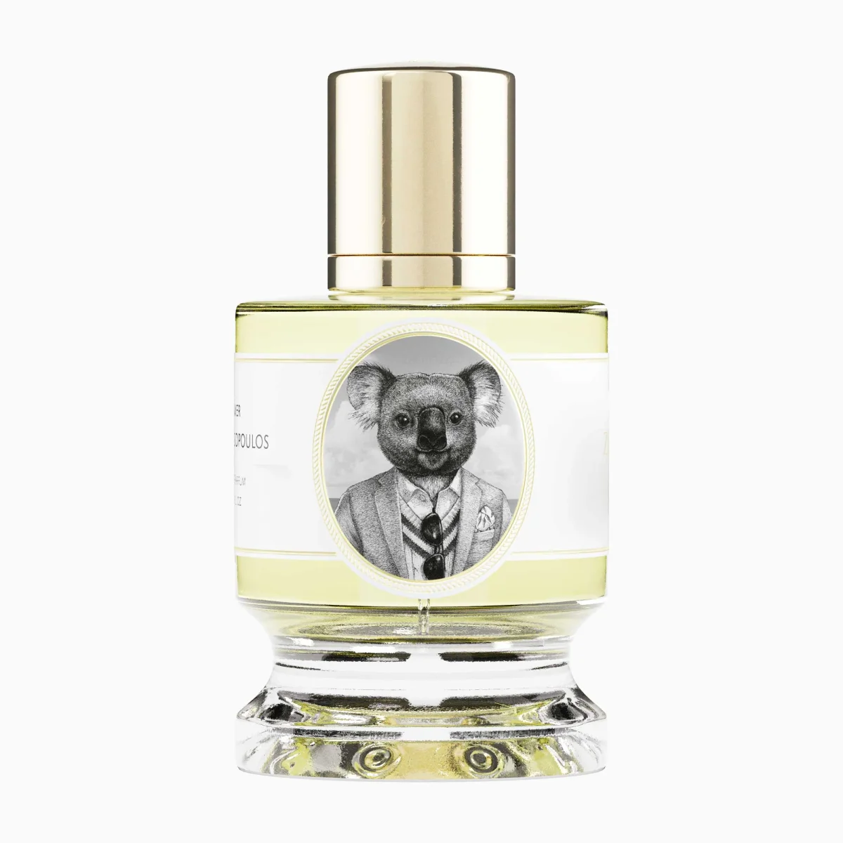 Koala by Zoologist