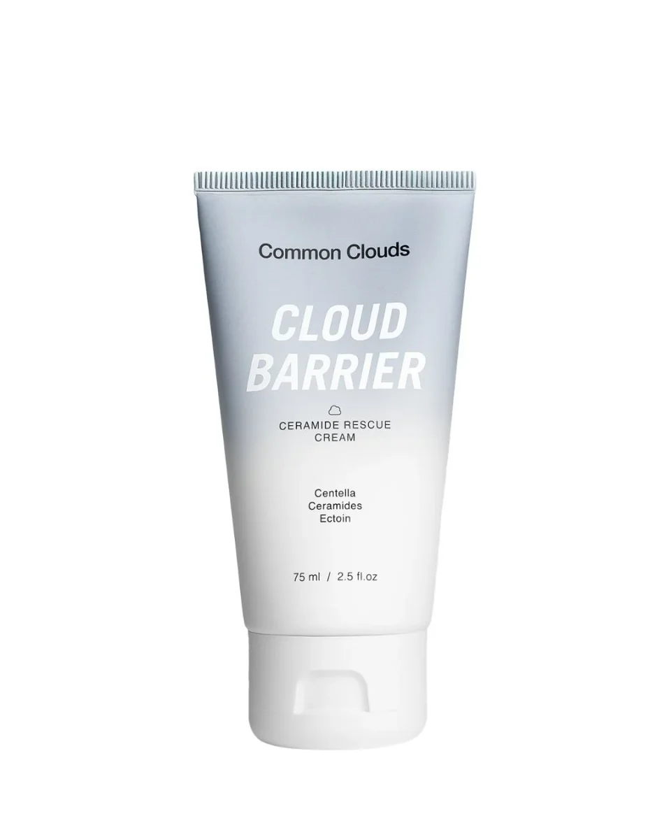 Cloud Barrier by Common Clouds