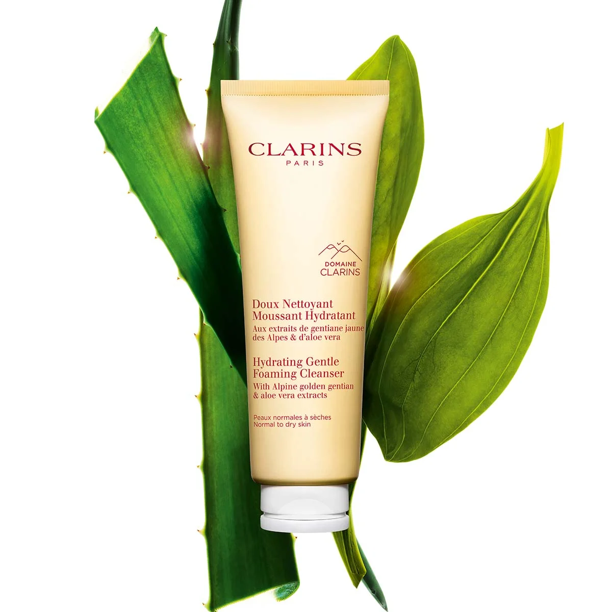 Hydrating Gentle Foaming Cleanser by Clarins