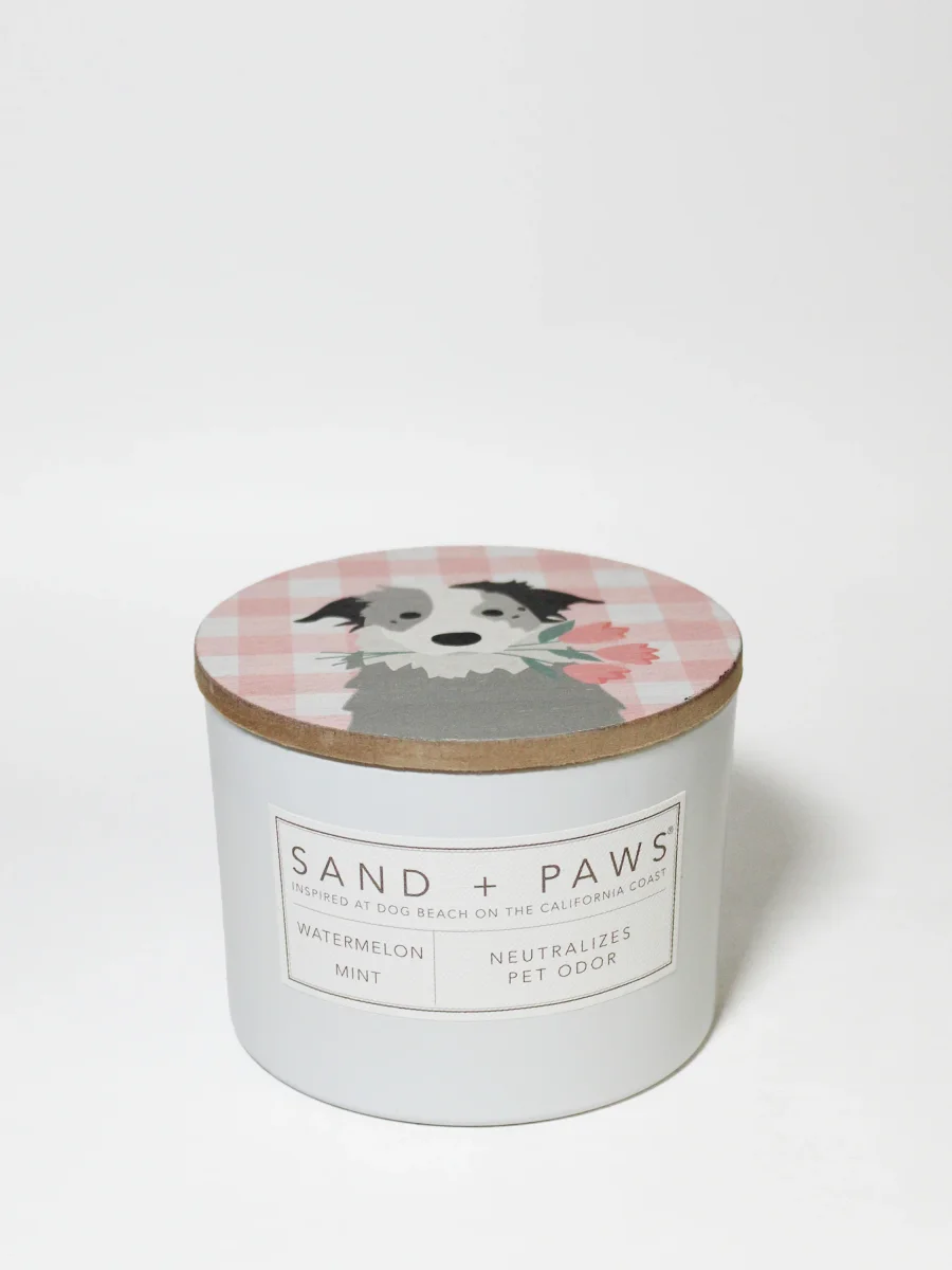 Watermelon Mint Candle by Sand + Fog