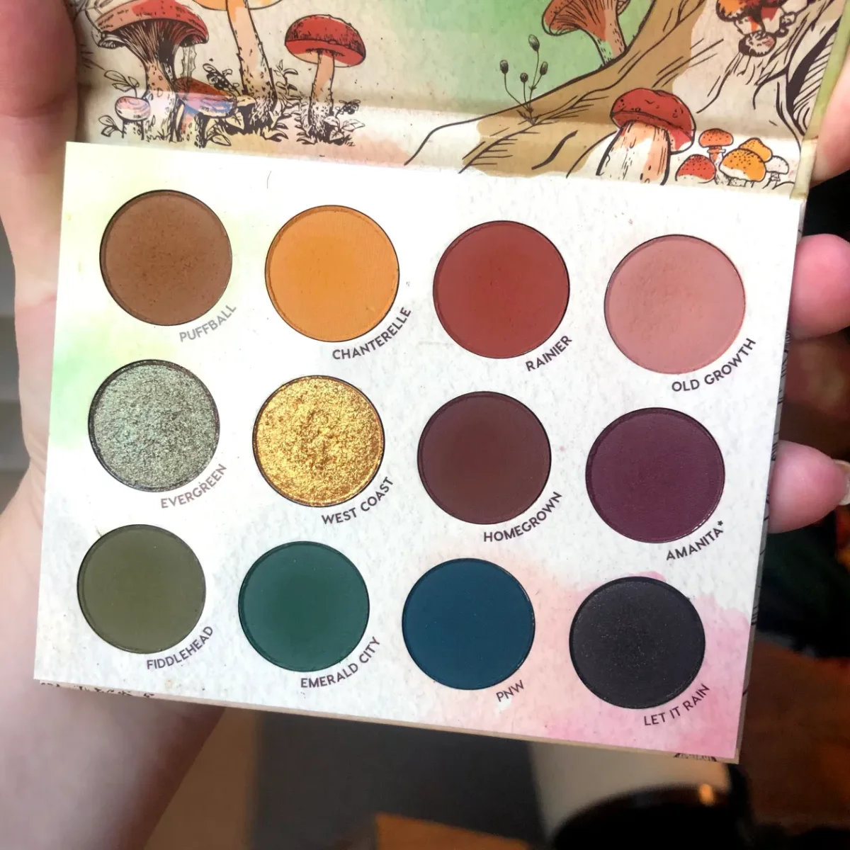 Raw Beauty Kristi x ColourPop At Forest Sight Eyeshadow Palette by ColourPop