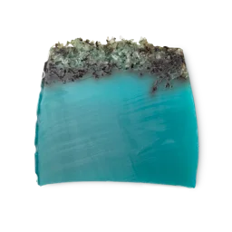 Sea Vegetable Soap by LUSH