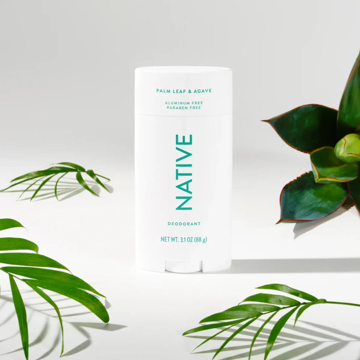 Palm Leaf & Agave Deodorant Stick by Native
