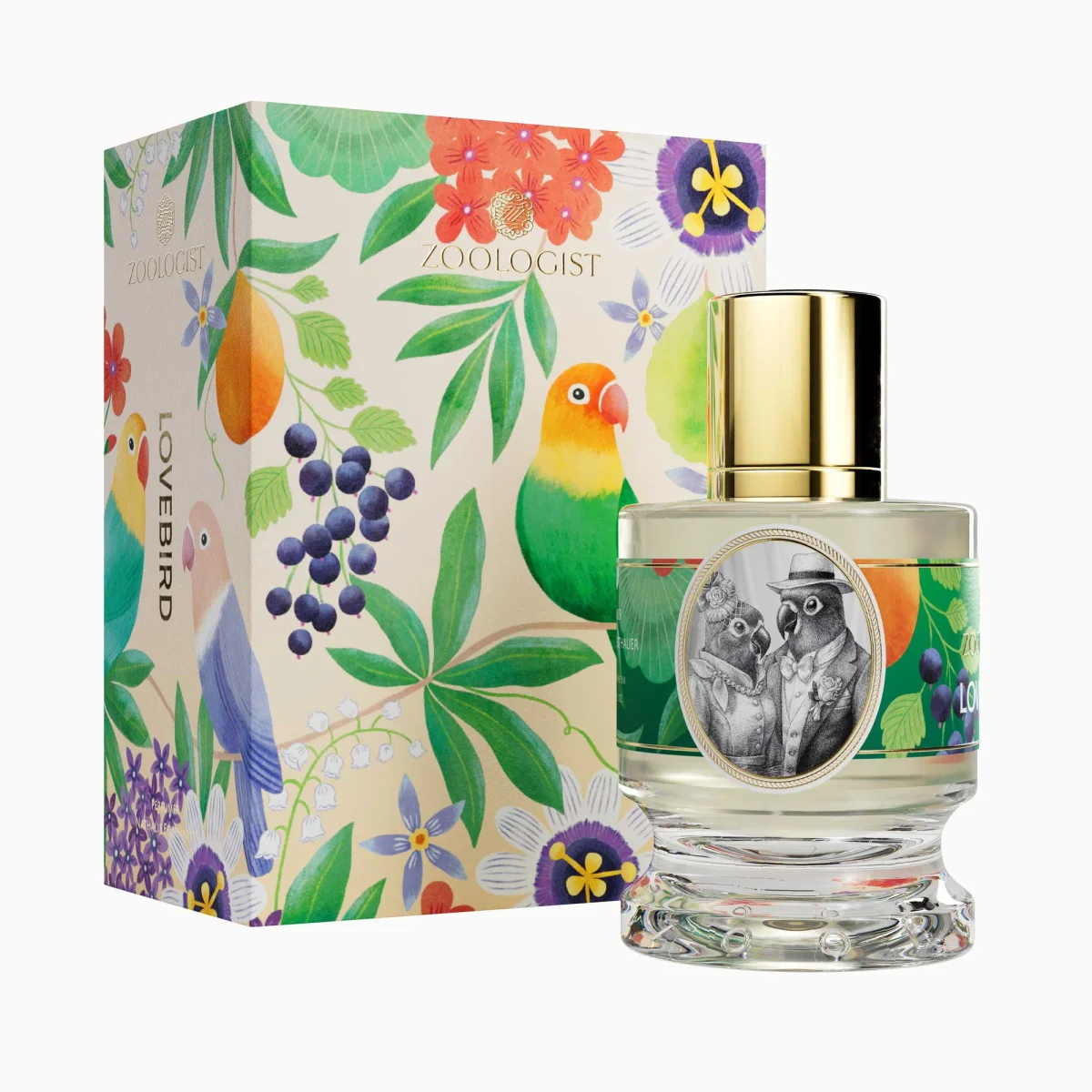 Lovebird by Zoologist