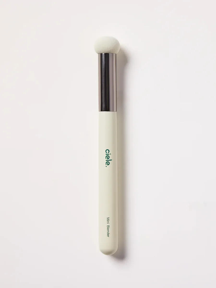 The Sponge Brush by ciele