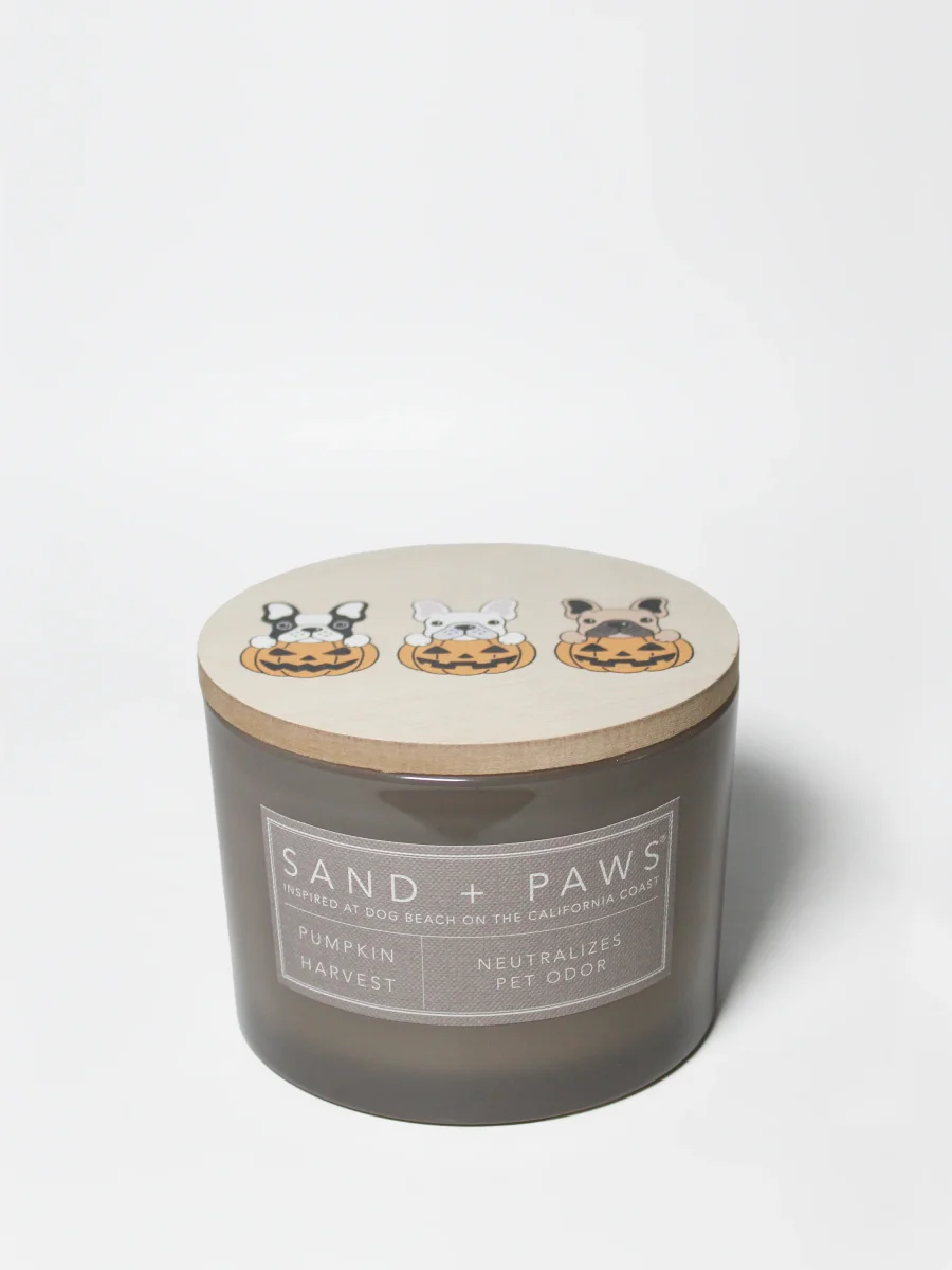 Pumpkin Harvest Candle by Sand + Fog