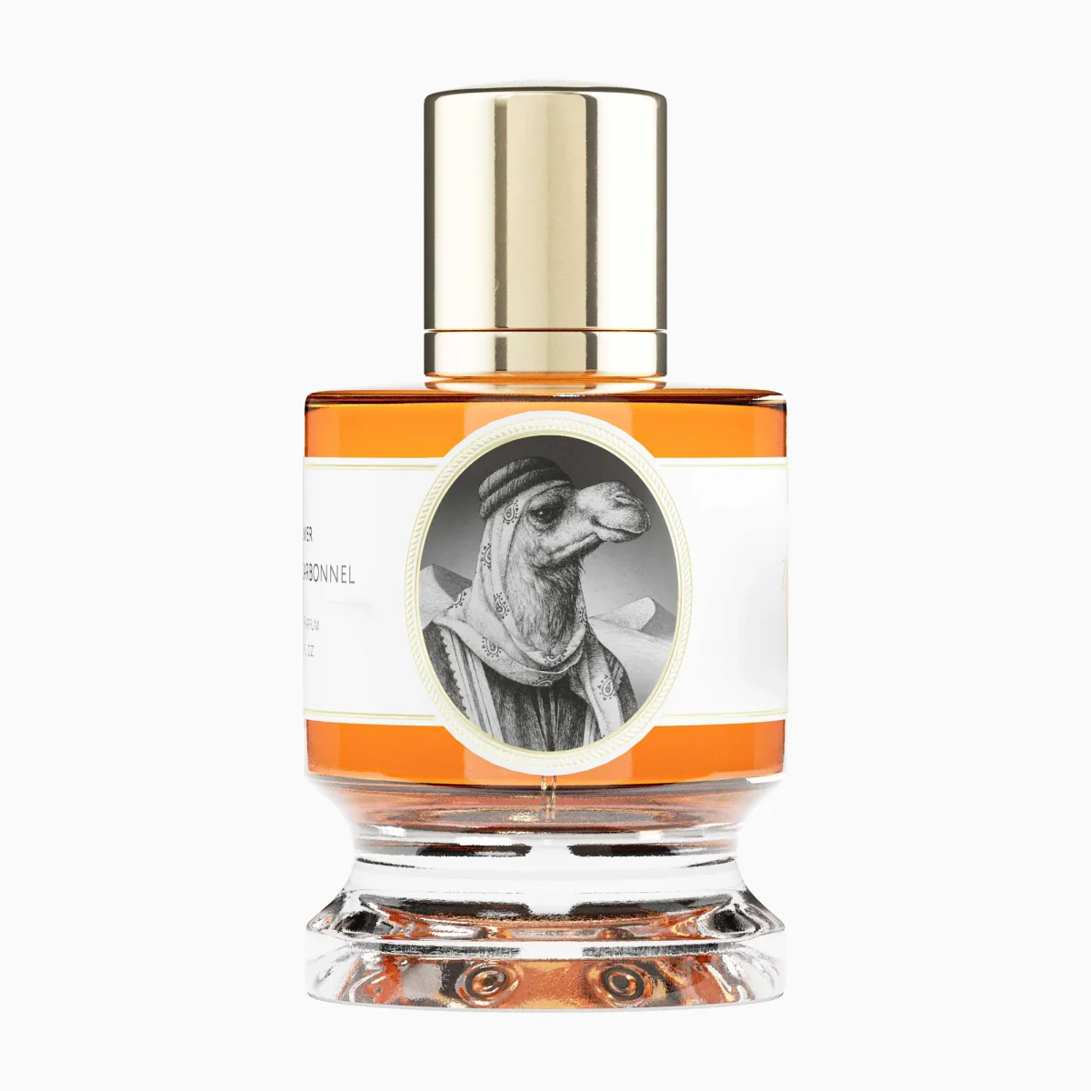 Camel by Zoologist