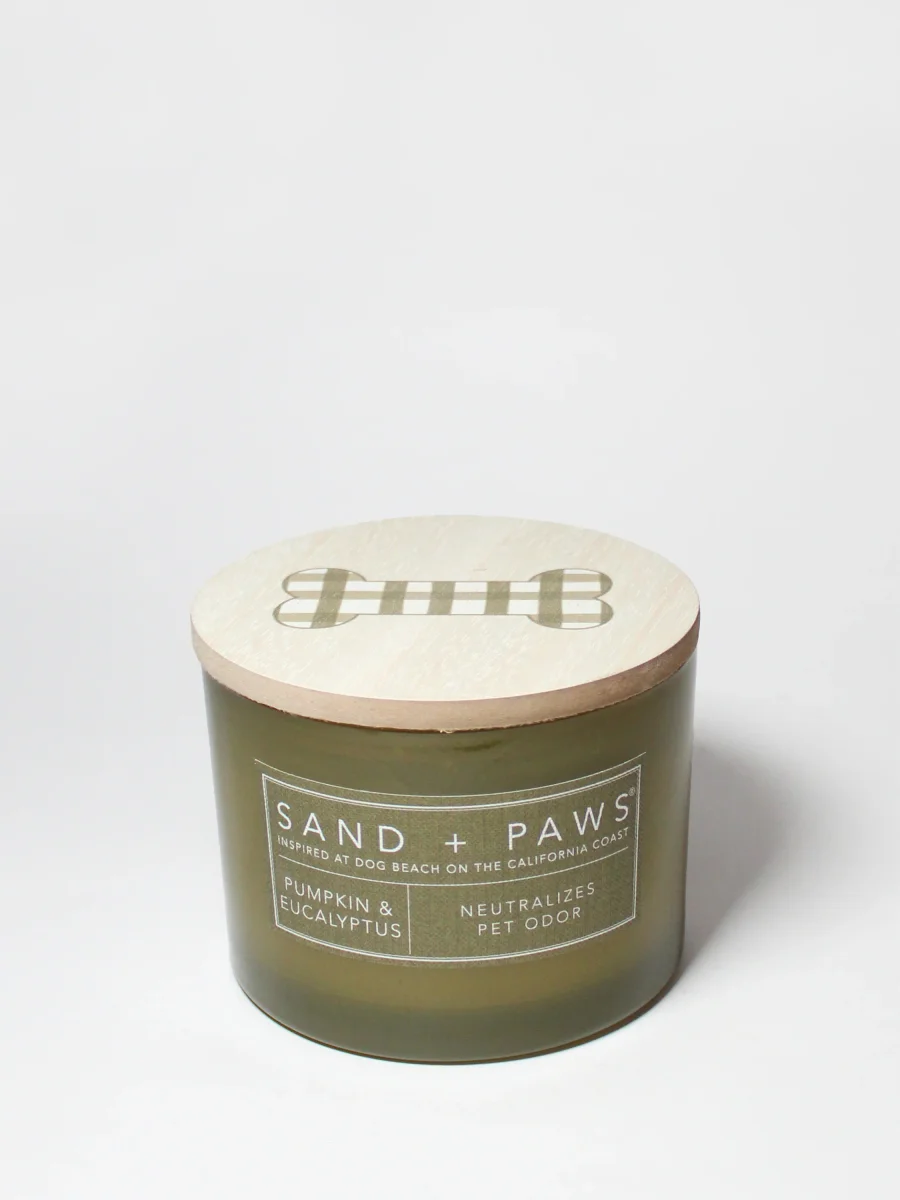 Pumpkin & Eucalyptus Candle by Sand + Fog