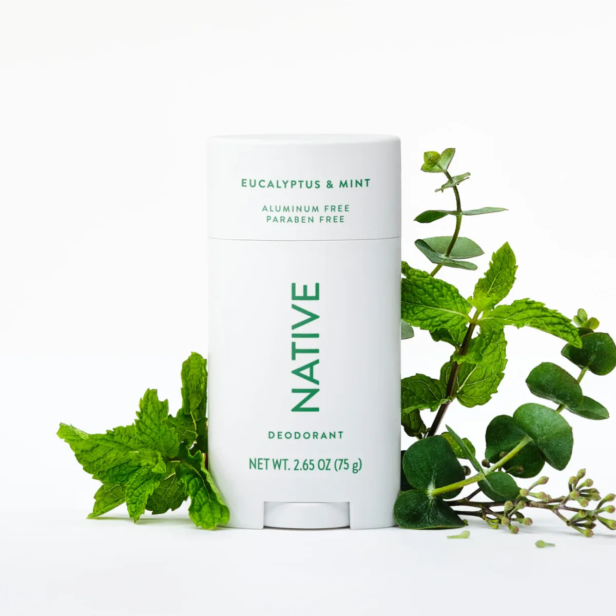 Eucalyptus & Mint Deodorant Stick by Native