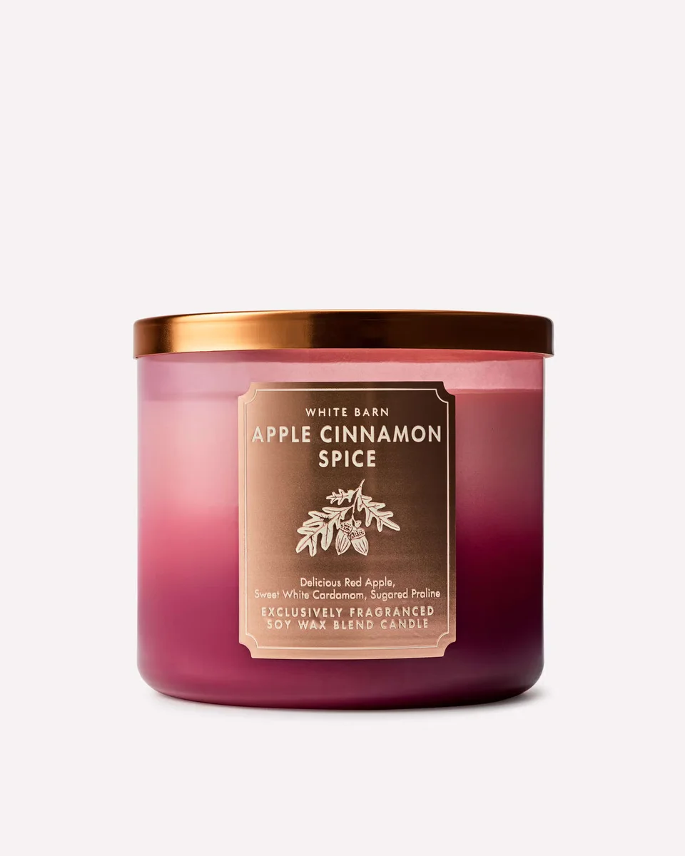 Apple Cinnamon Spice Candle by Bath & Body Works