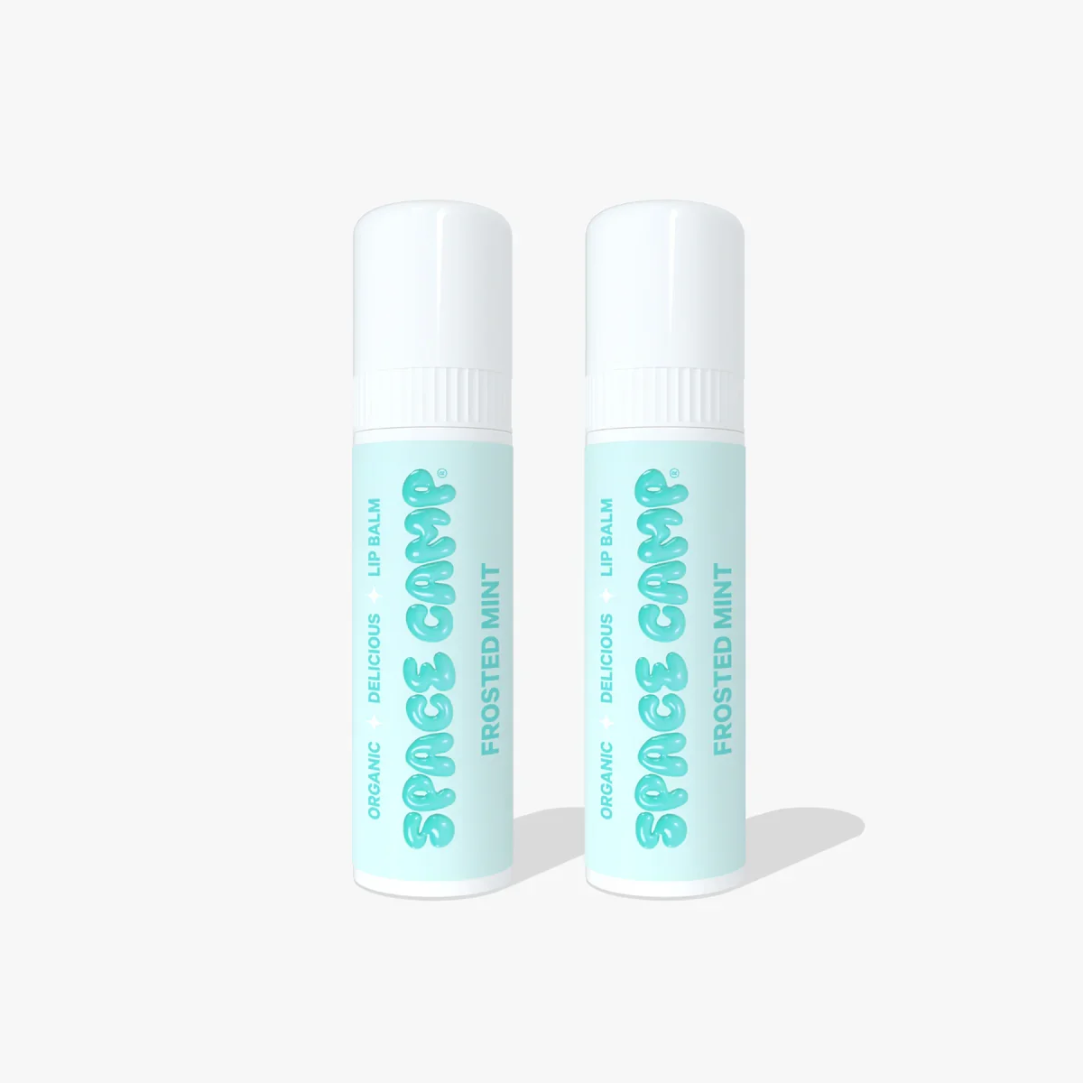Frosted Mint Lip Balm by Space Camp Wellness