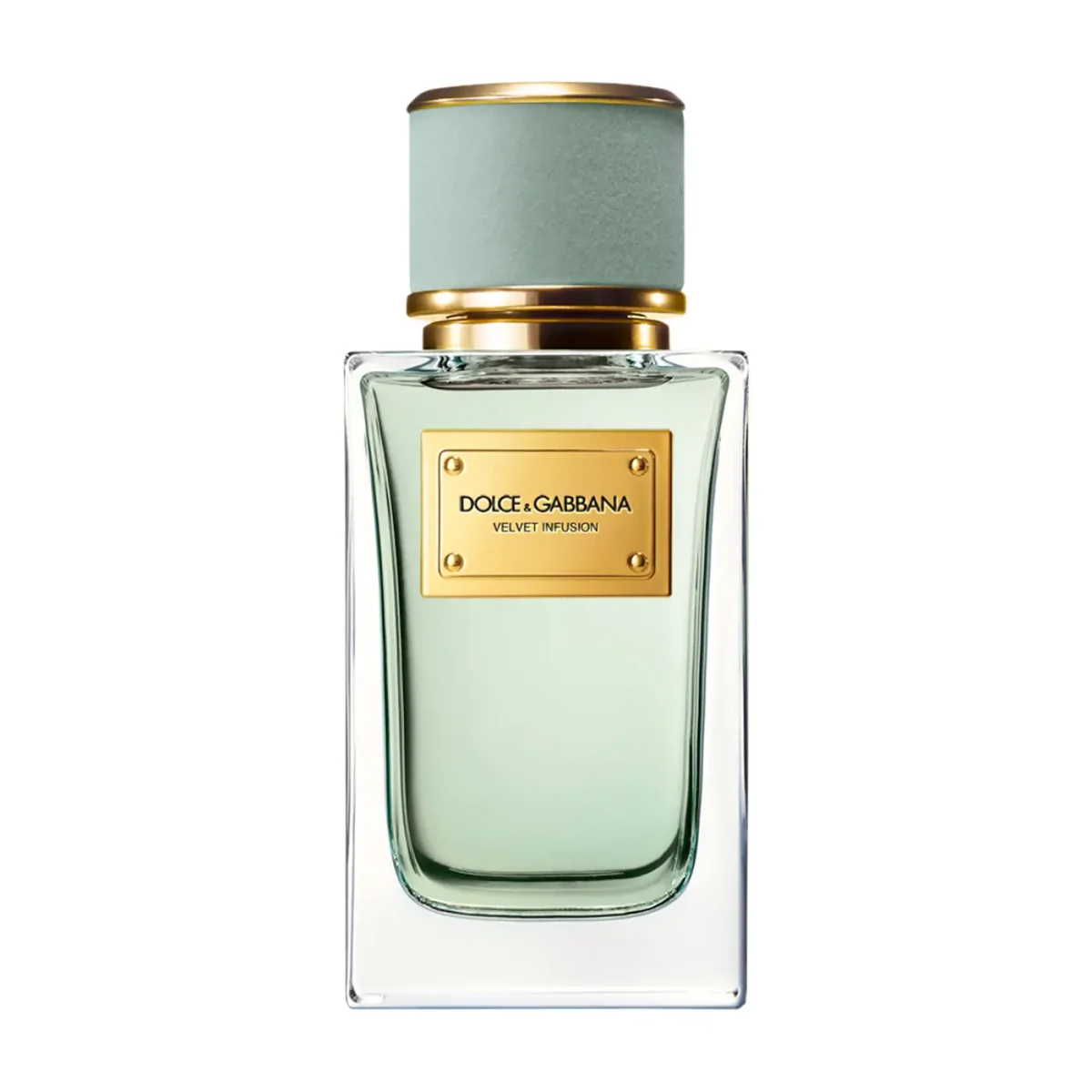 Velvet Infusion Eau de Parfum by Dolce&Gabbana