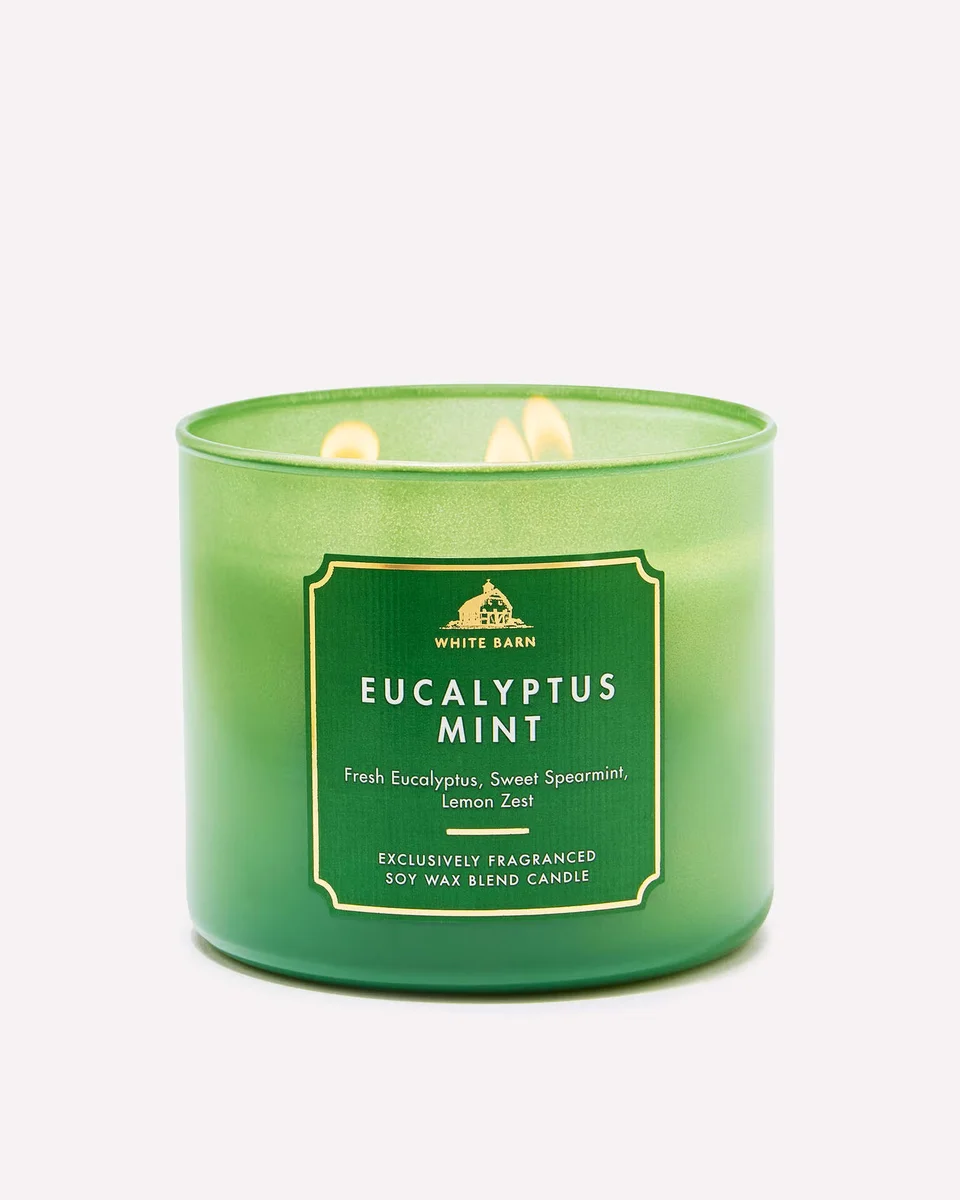 Eucalyptus Mint Candle by Bath & Body Works